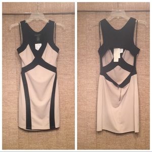 NWT Miss Me black & cream back cut-out dress
